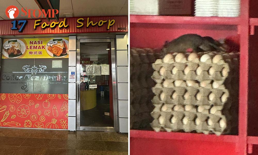 'Huge' rats crawl on cartons of fresh eggs in Joo Koon MRT station food shop
