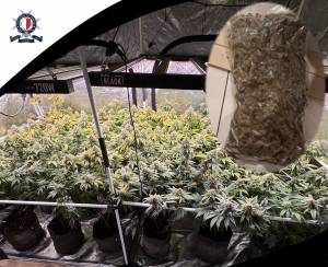 Drugs find: man arrested in Pieta on European Arrest Warrant