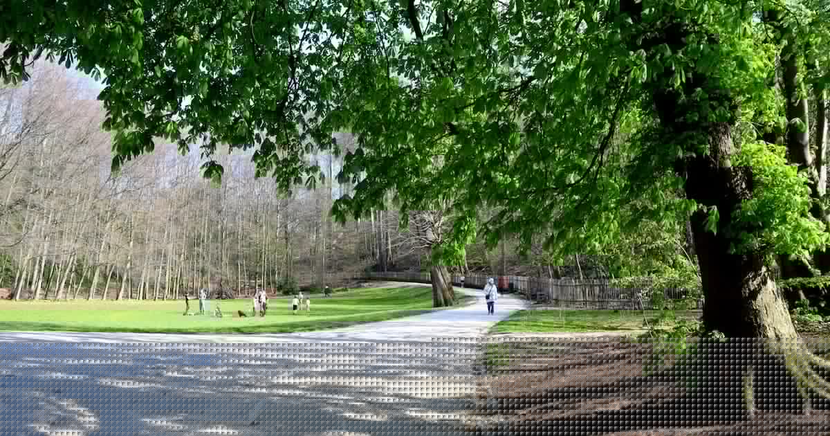 Le parc Duden en chantier pendant un an dès le 3 août : le parc restera accessible en grande partie