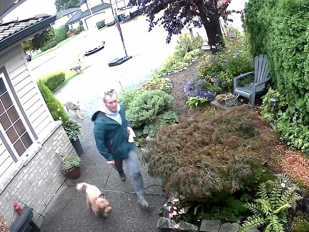 Video: Port Coquitlam man chased by coyotes in terrifying encounter