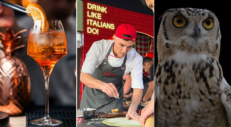 8 fun things to do in Abu Dhabi this week: August 3 to 6