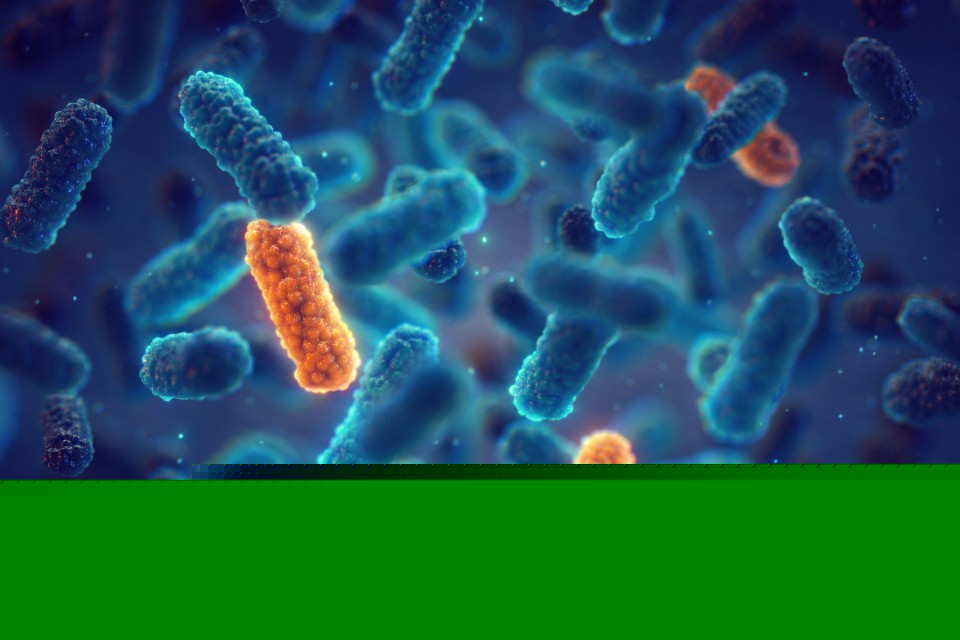 Researchers develop targeted approach to kill antibiotic-resistant gonorrhoea