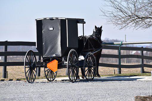 Amish buggy hit by car in Herkimer County