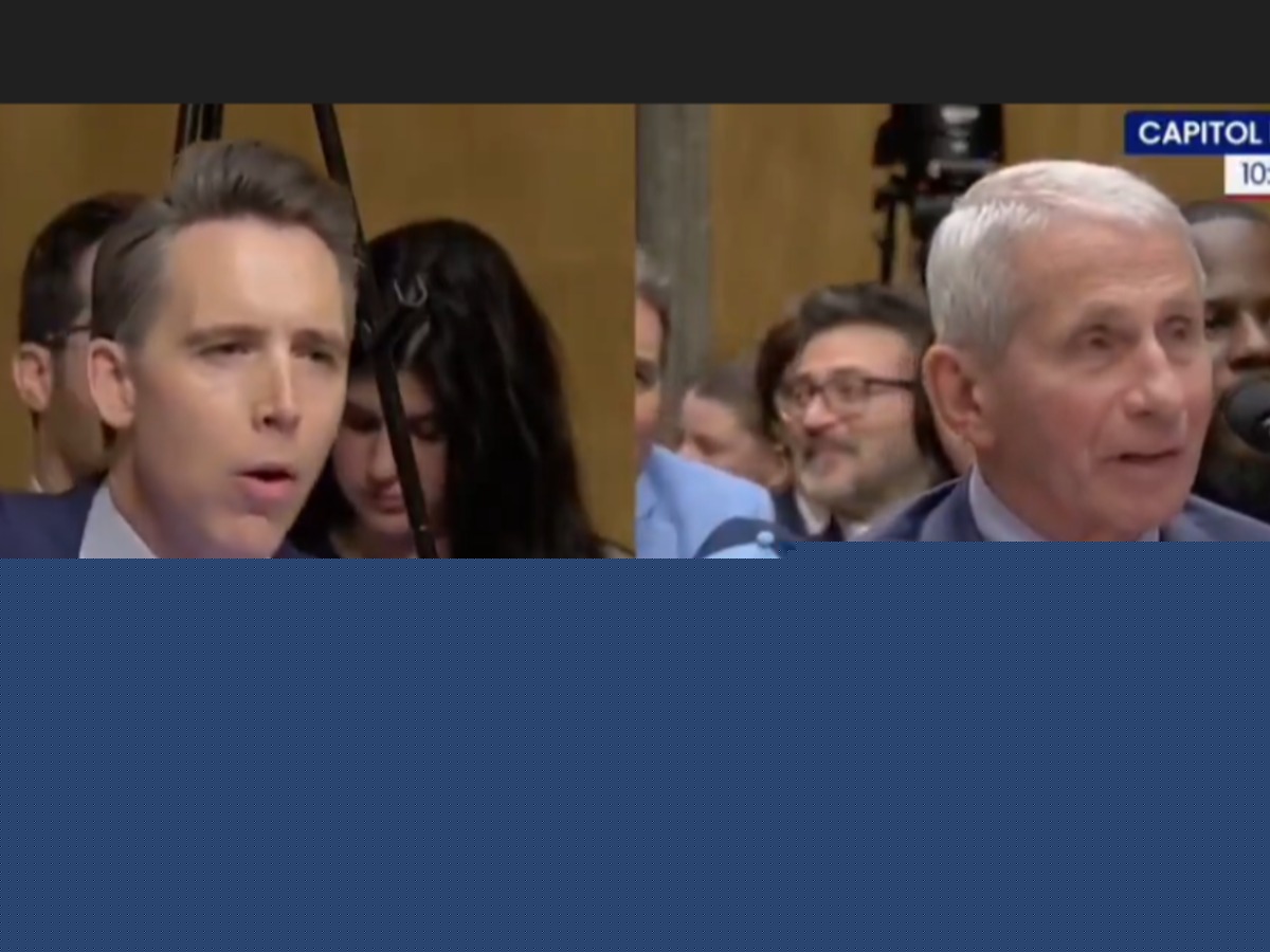 Hawley grills Fauci over COVID diaries, invoking 5th amendment