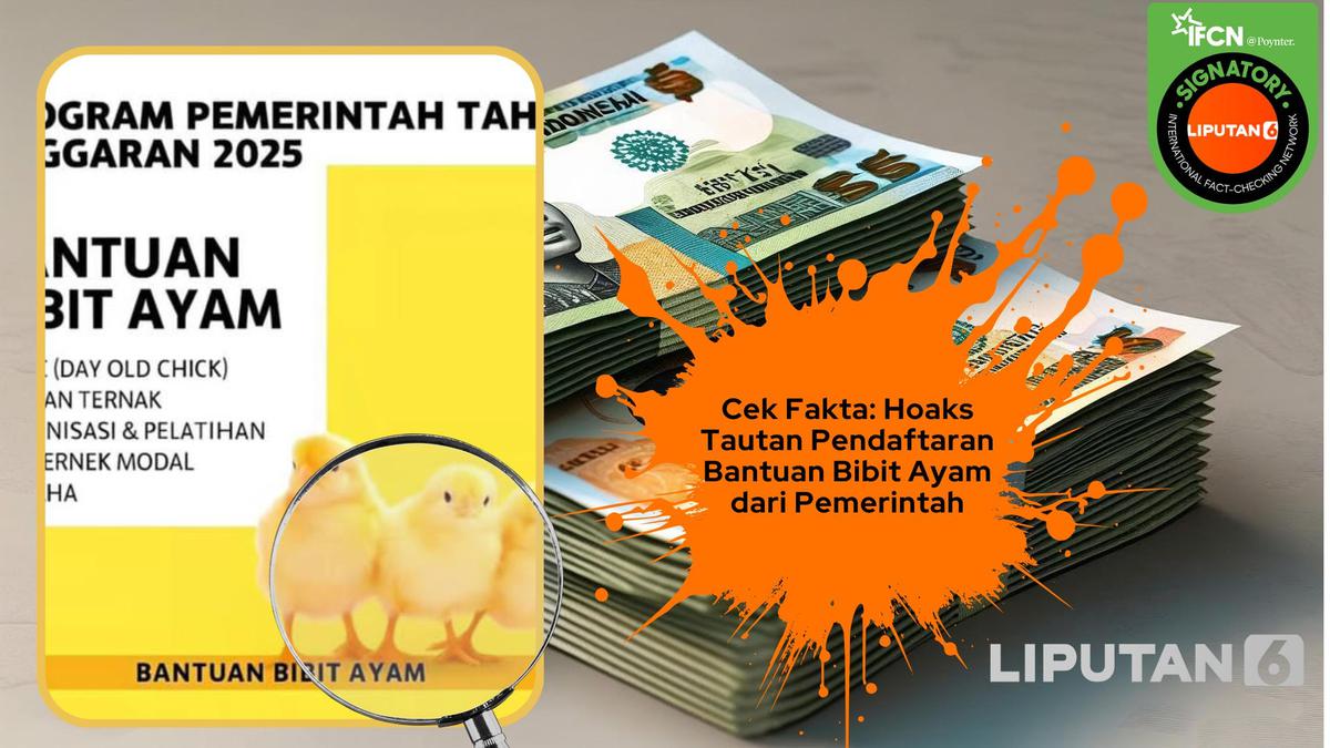 Ragam Hoaks Bantuan Bibit Ayam dari Pemerintah yang Beredar di Medsos, Cek Faktanya