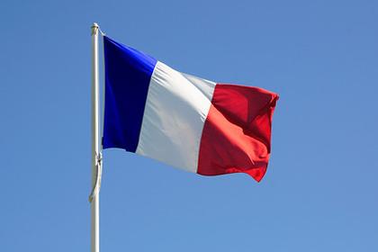 France curbs cattle disease with mass vaccinations