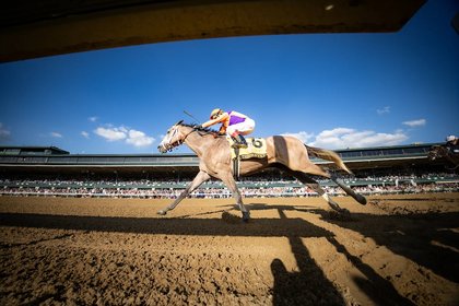 Kentucky Derby Favorite Ted Noffey Sidelined with Bone Bruise