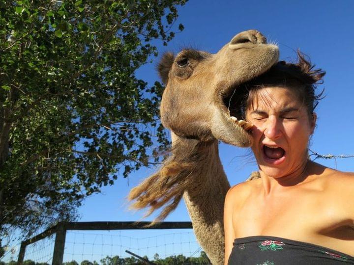 Perfectly Timed Photos - Chomp