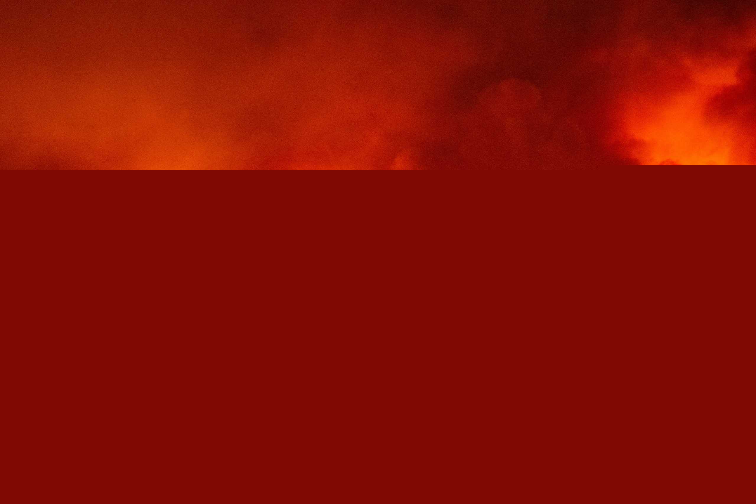 In the ashes of Colorado’s largest fire, CSU scientists are betting on the forests of the future