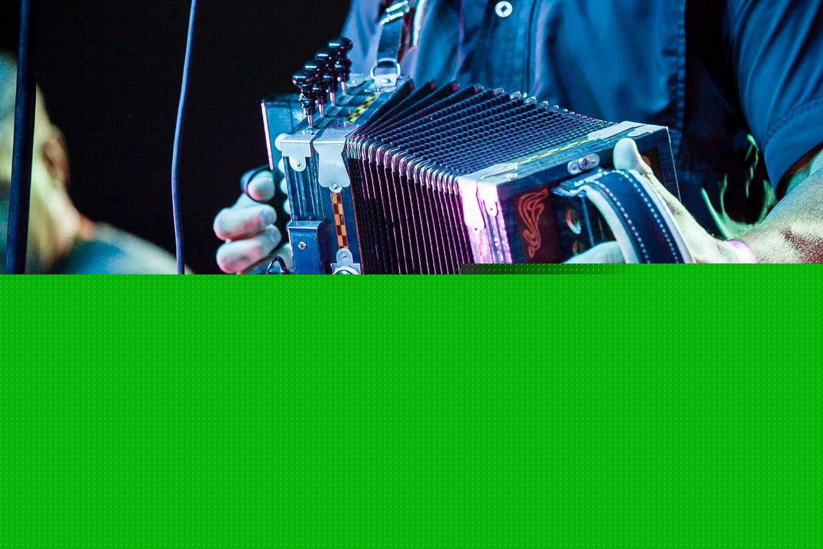 Everything You Need to Know Before Marshland Festival 2026