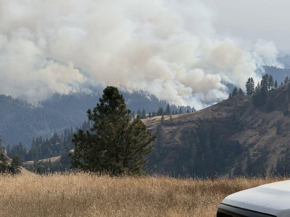 Bentz, Merkley team up on wildfire reduction act