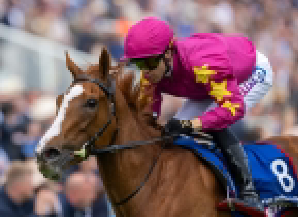 Ryan Moore and Dylan Browne McMonagle Add Star Quality To Shergar Cup