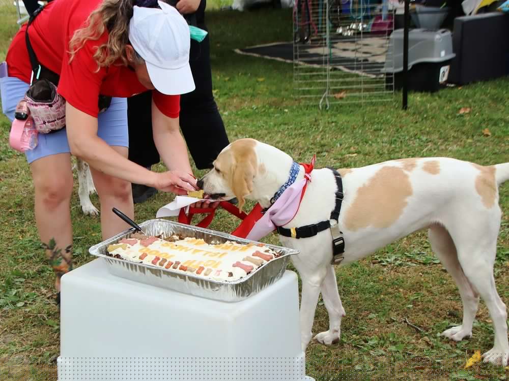 Thousand Islands Bark Bash returns