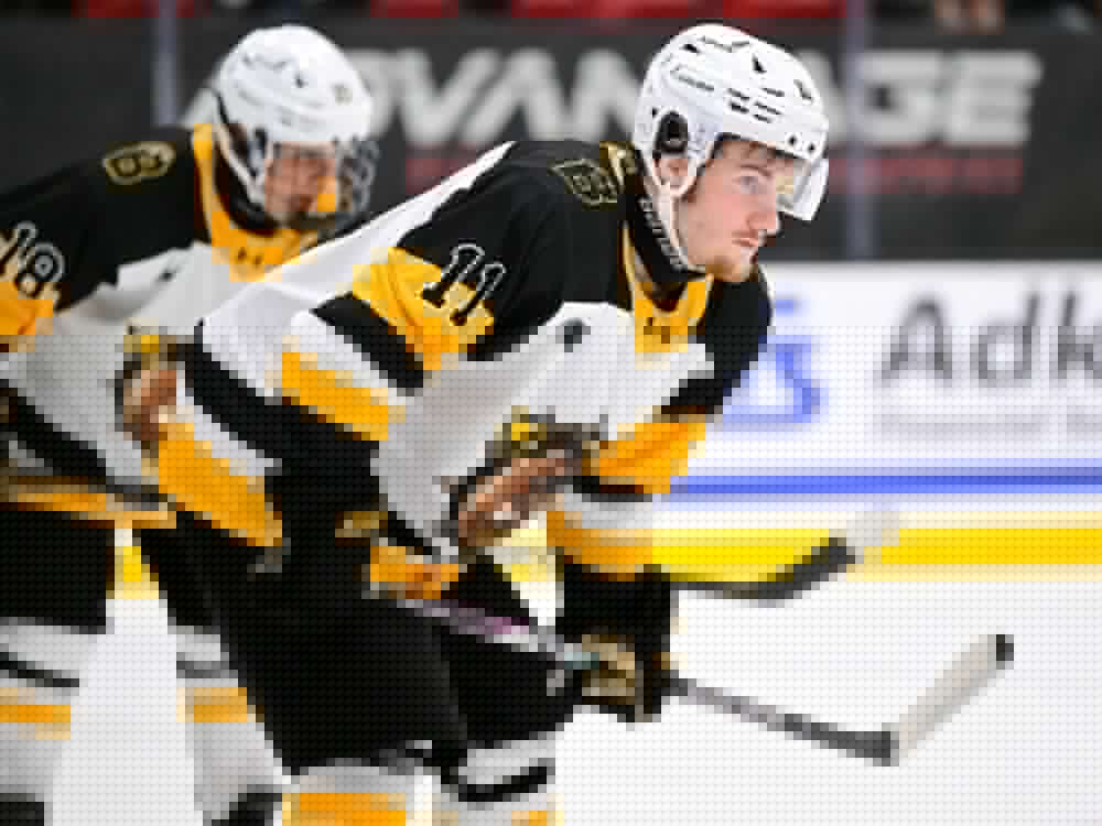 Brantford Bulldogs' Ryder Boulton banned six games by OHL