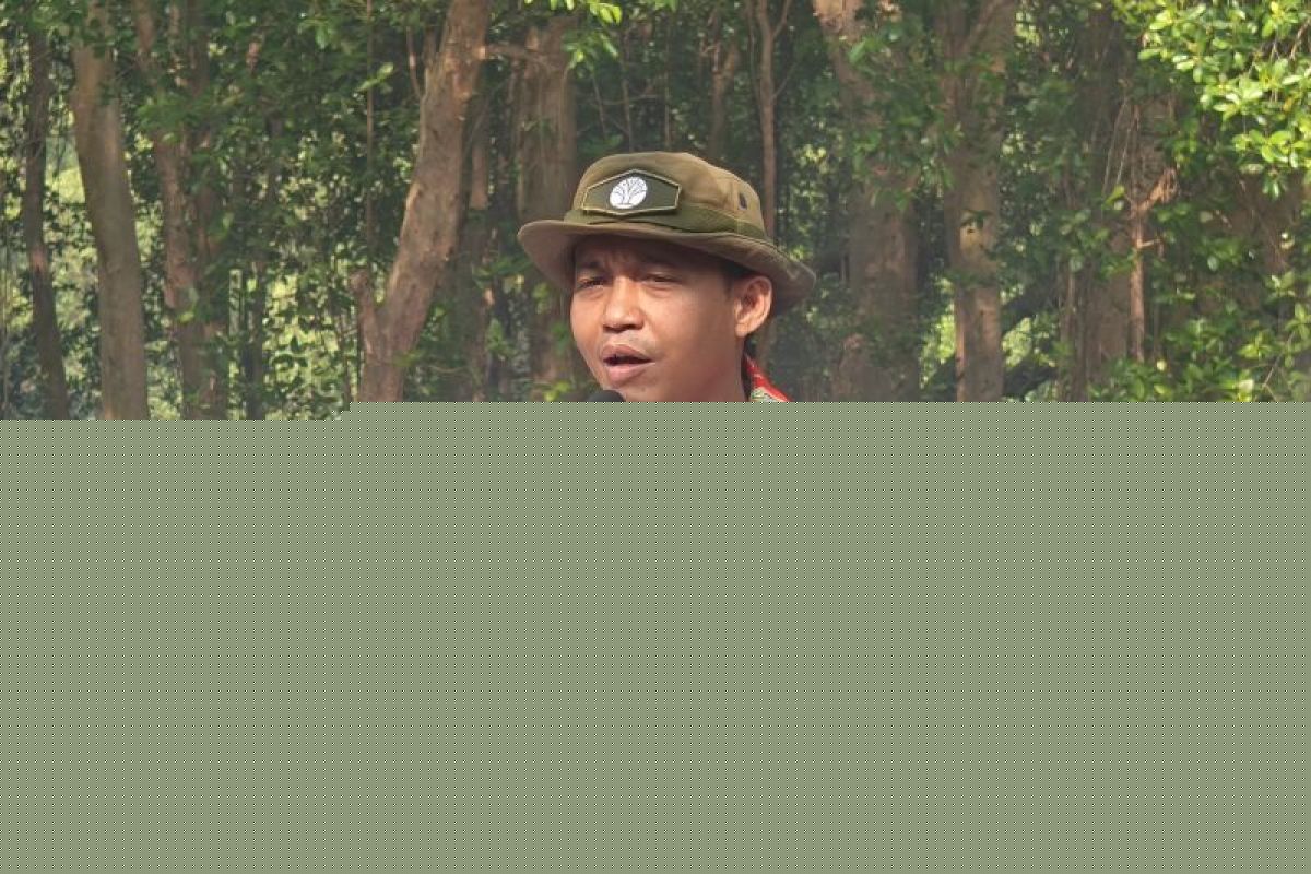 Indonesia's Forestry Minister urges joint push to restore ecosystems
