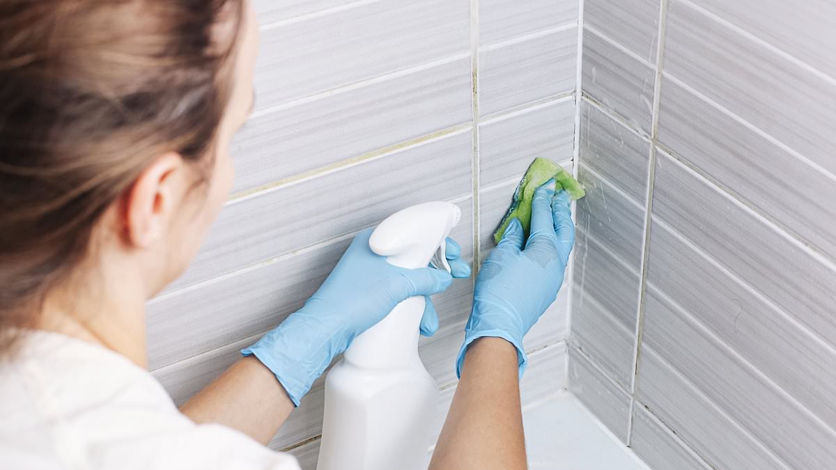 My cleaner tripped in the bath at my flat - can she make a claim against me?
