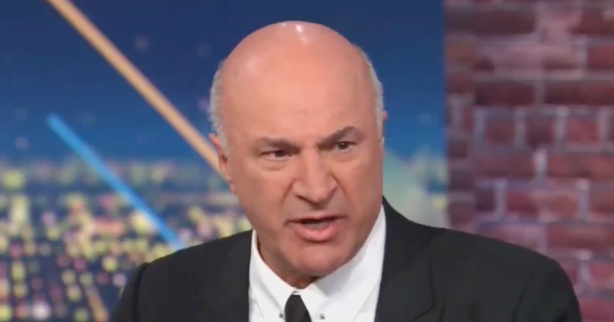 CNN viewers slam Kevin O'Leary's 'toddler tantrum' as he screams 'I want my money back'