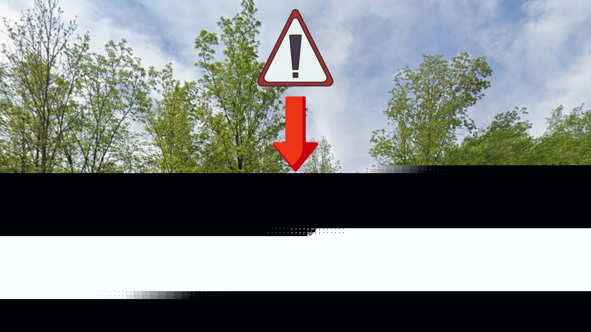 Missouri's Ozark National Scenic Riverways Area Just Had a Quake