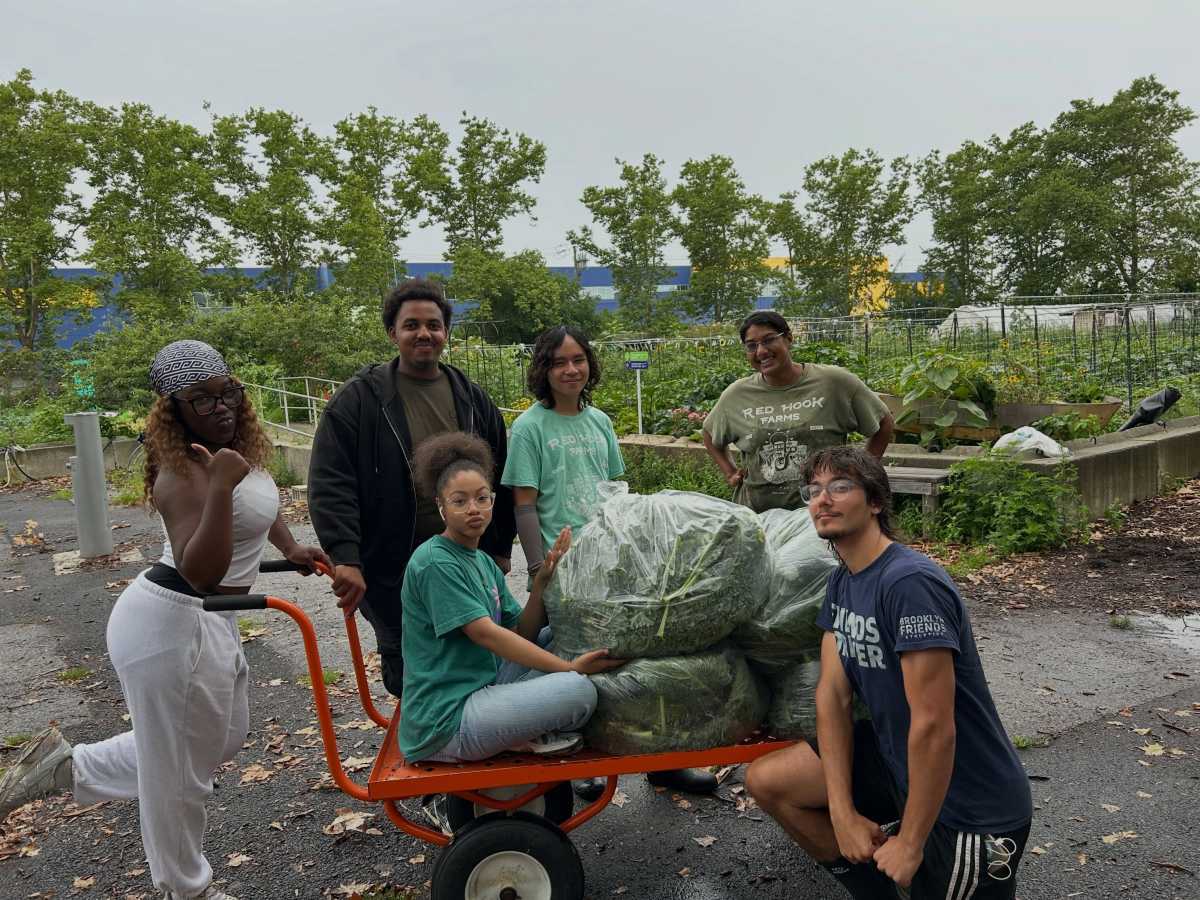 Two Brooklyn nonprofits receive $10K grants to support economic opportunity, civic engagement