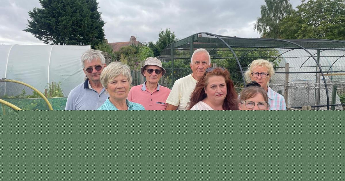 Council withdraws allotment eviction notice after legal mistake