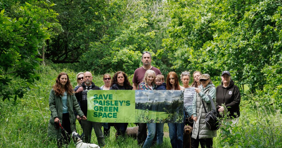 Campaigners fight to save veteran trees set to be removed for houses