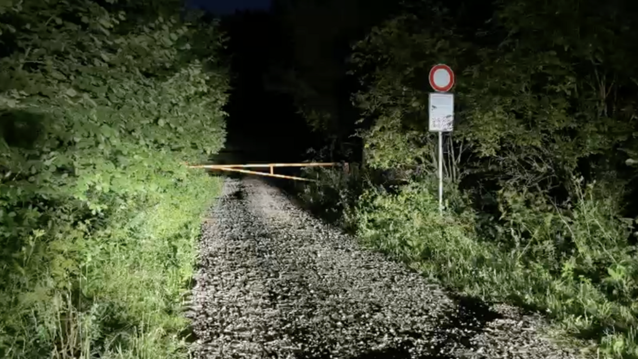 Medveď pri Martine napadol cyklistu. Strhol ho z bicykla, muž skončil so zraneniami v nemocnici