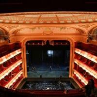 Show must go on: London opera chief steps in for ailing tenor