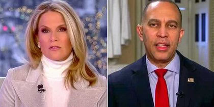 Top House Dem schools Fox News host: 'Your own poll' shows 'ICE has gone too far'