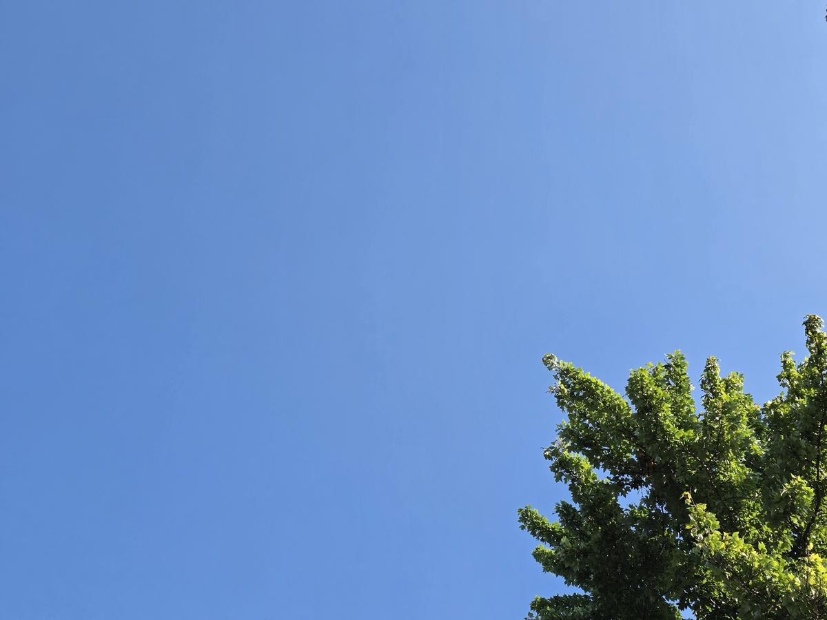 NJ weather: A spectacular summer weekend, as humidity stays away
