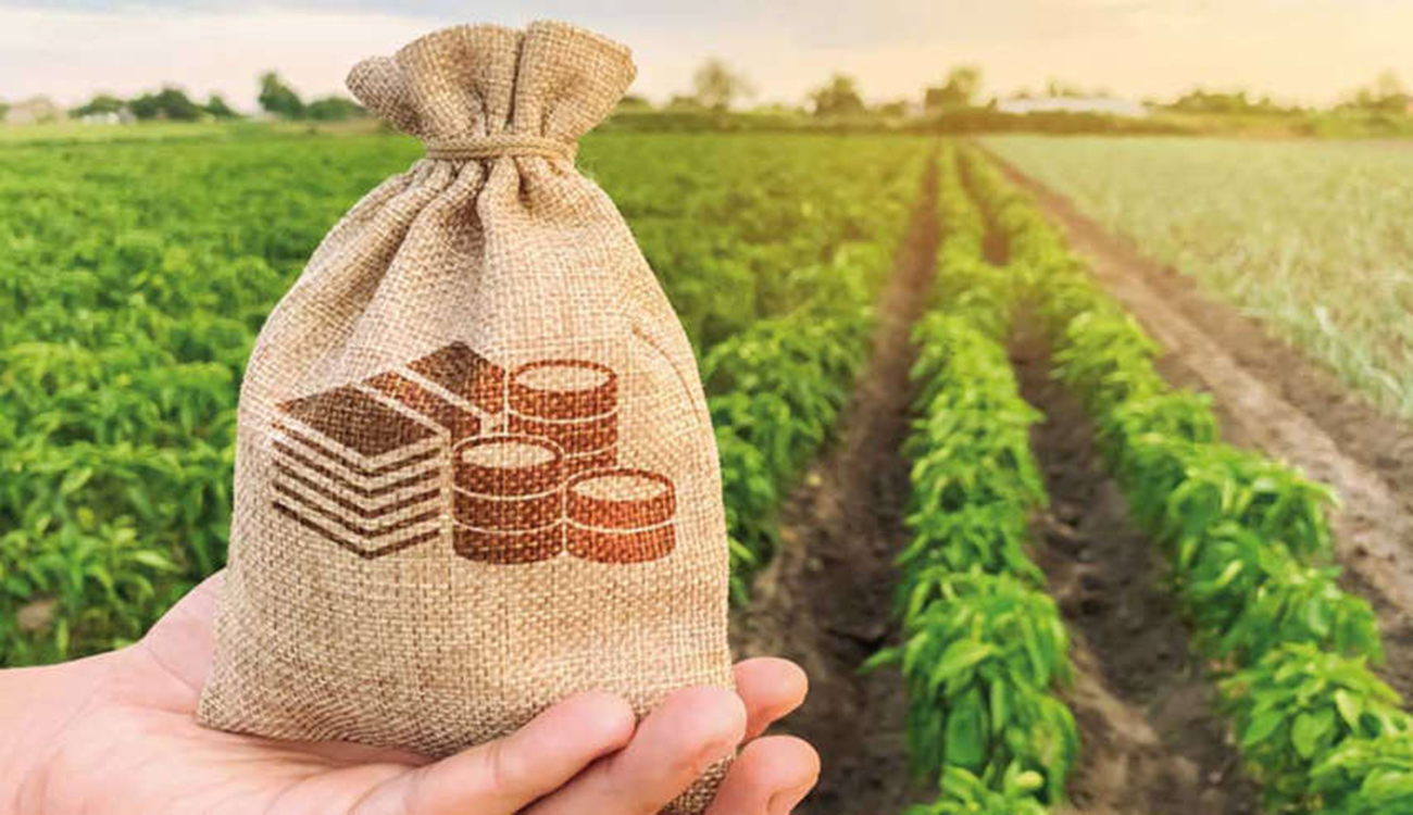 Commentaires sur Investissements agricoles : Une réforme en profondeur s’impose par choko