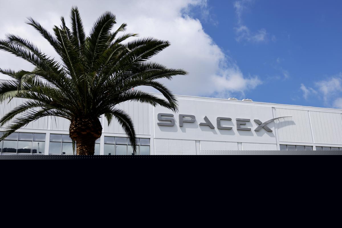Inside SpaceX's Pecan Island Spaceport Plans