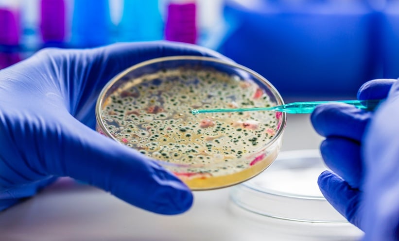 Experimental Strategy Explores Vibrio Vulnificus Infection Control