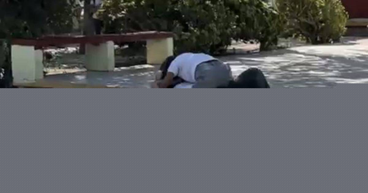 Protagonizan alumnas del CBTis 239 violenta riña dentro del plantel, en Nava