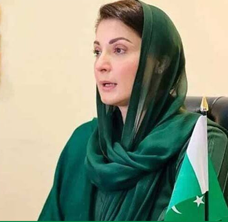Punjab CM lauds successful operation against terrorists in Panjgur
