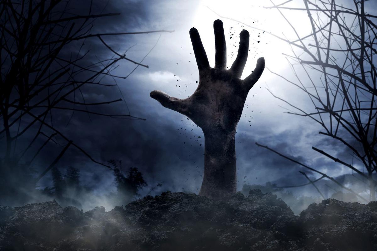 Zombie Apocalypse Survival: The Best Texas Cities Revealed