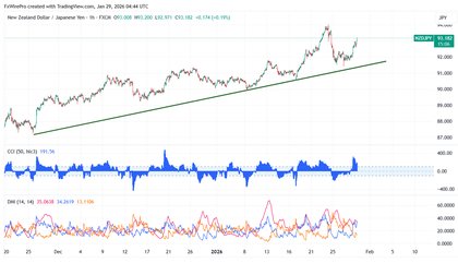 NZD/JPY Bulls Regain Control: Buy-the-Dip Strategy Above 91.40 Support