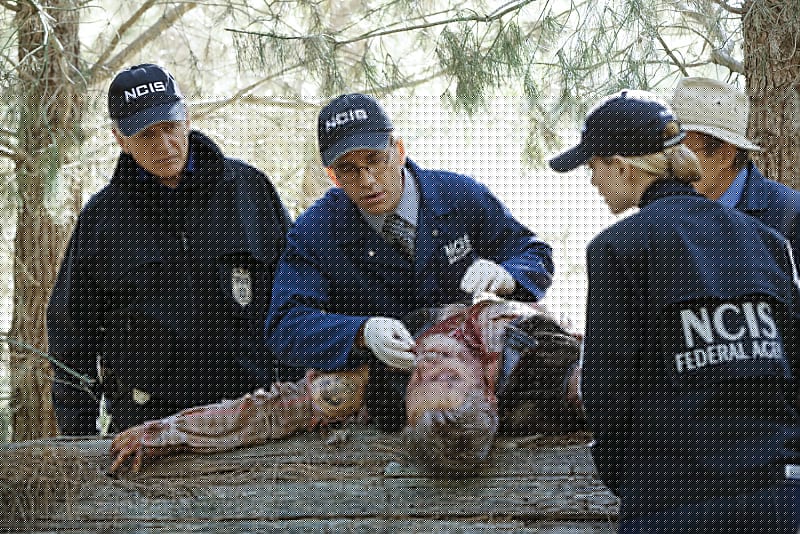 Comment on NCIS Season 13 Episode 7 Review: 16 Years by Melanie