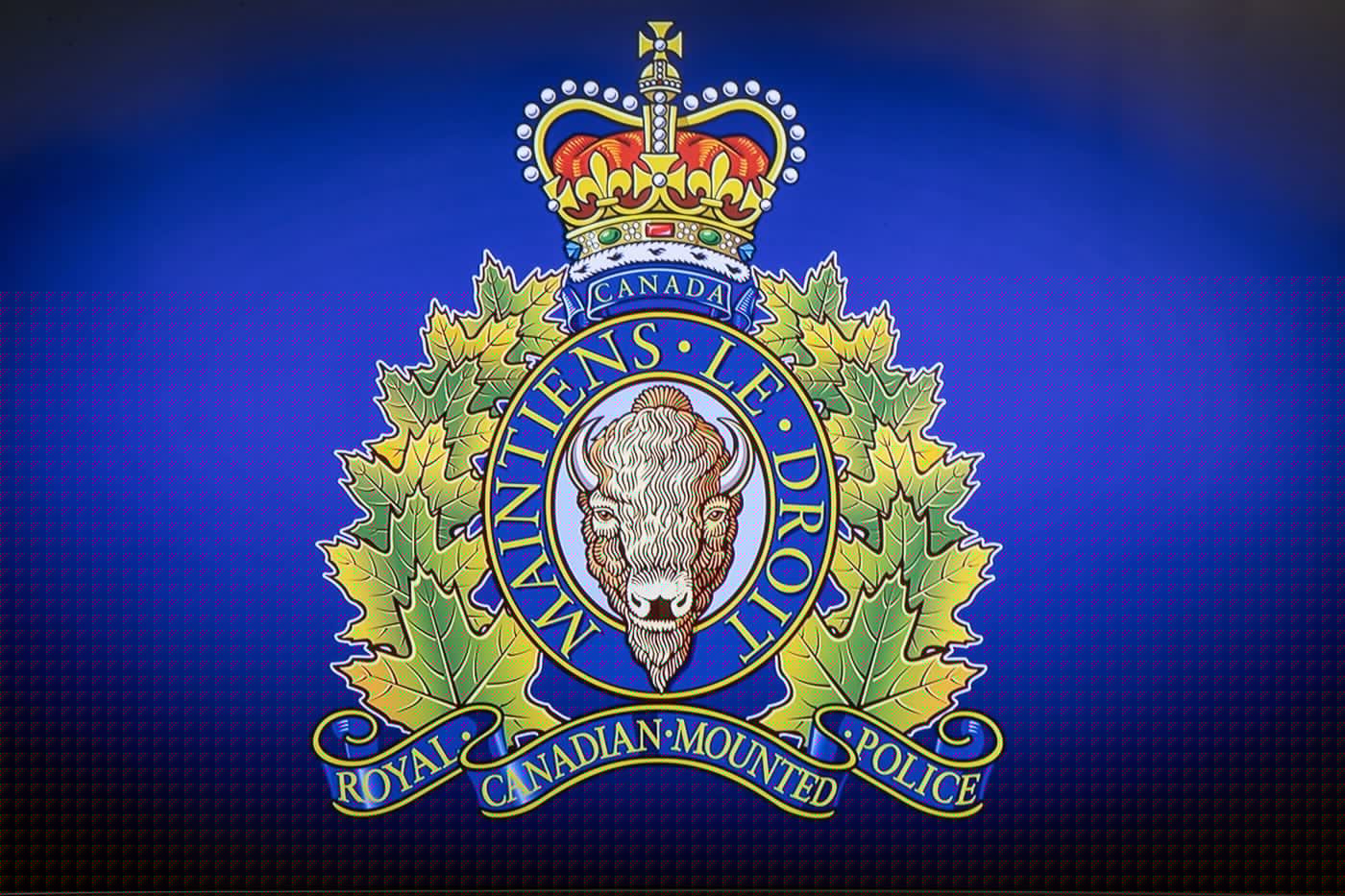 Battlefords RCMP respond to over 60 calls overnight, including serious assaults