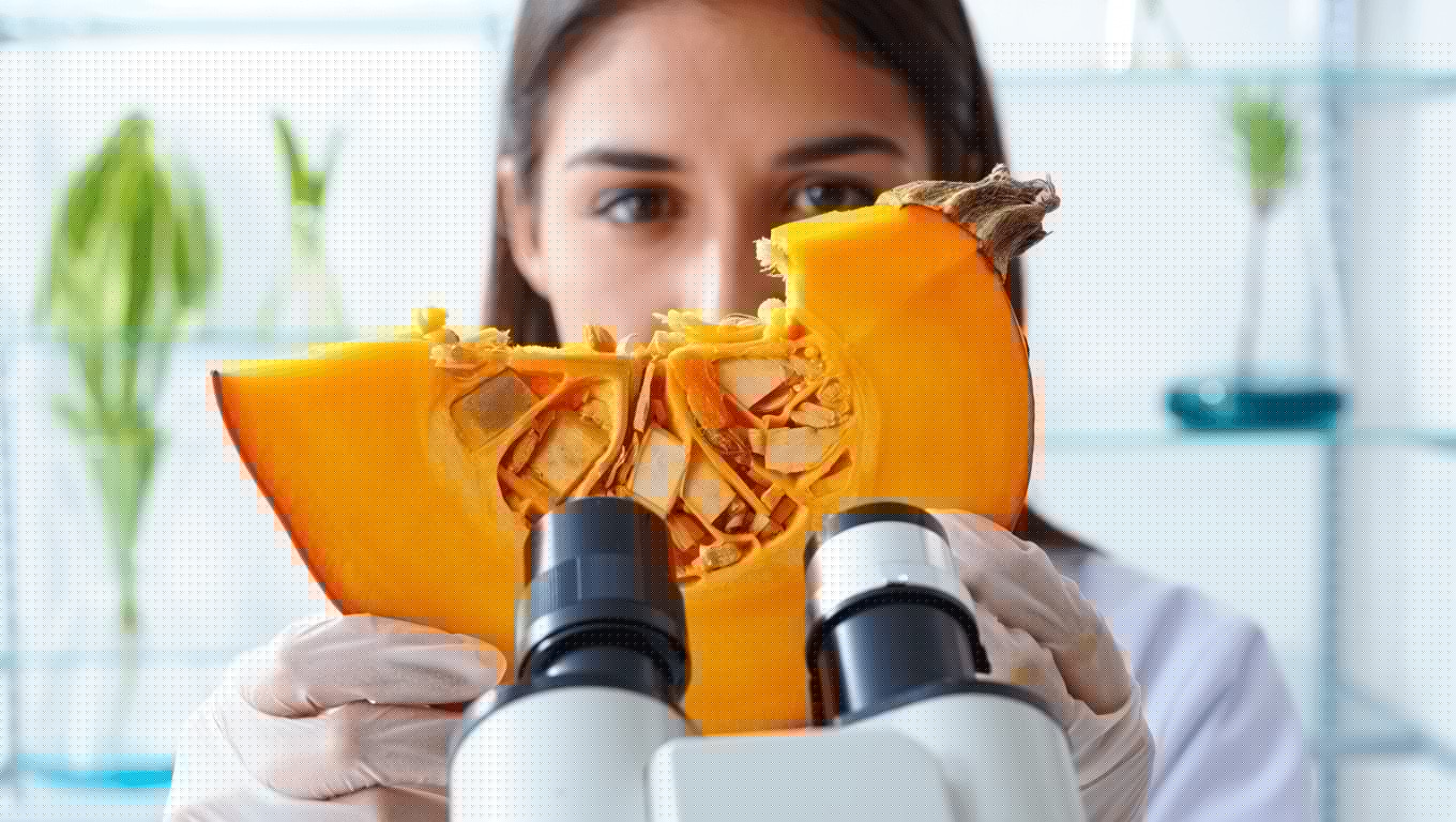 Pumpkin Genomes Sequenced: Unveiling a Unique Evolutionary Tale!