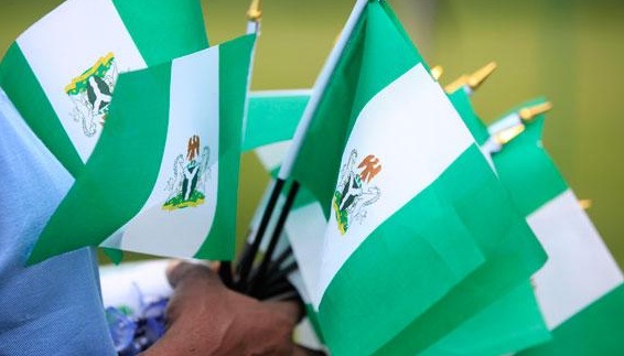 Despite High Taxes, Nigerians Provide Water, Electricity, Others For Themselves – Adesina