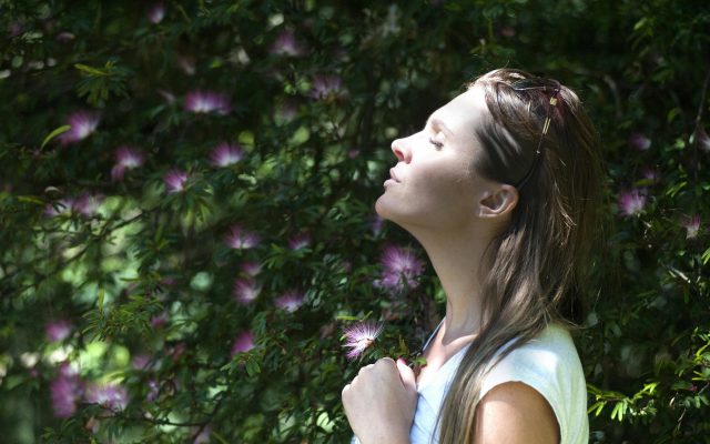 So, What Even Is The Vagus Nerve?
