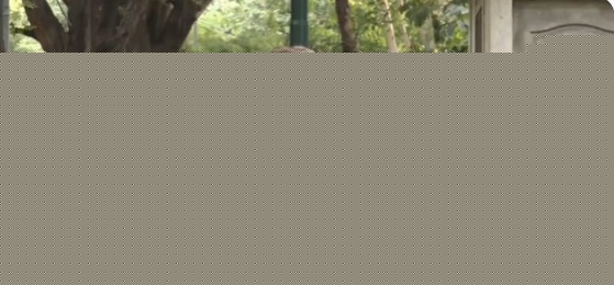 You will have to answer for this crime: Rahul to Shah on police ‘brutalities’ against students