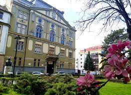 Vara, Biblioteca ASTRA Sibiu devine mai zgomotoasă decât de obicei