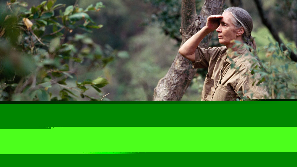Comment on A new exhibit invites you to step into Jane Goodall’s life by What Jane Goodall showed me about bones, loss and not squandering anything – Blog
