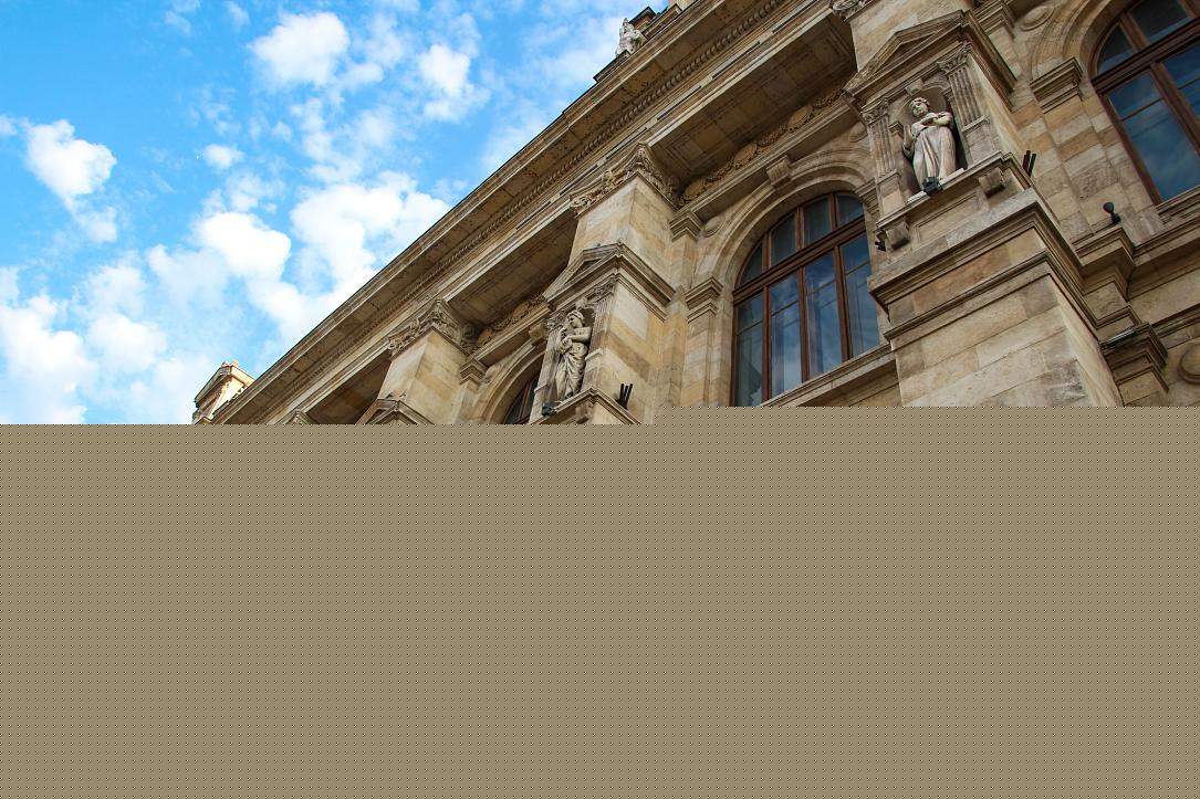 Bucharest Court of Appeals gives reasoning in Bihor unauthorized care homes case