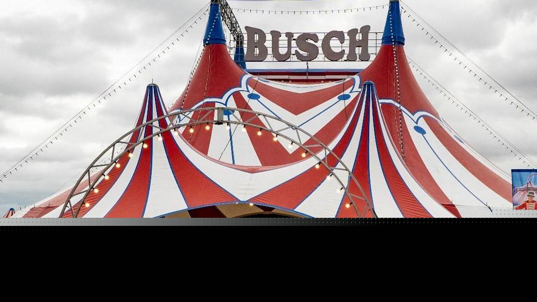Circus Paul Busch: Acrobat falls to death after trapeze stunt goes wrong in Germany
