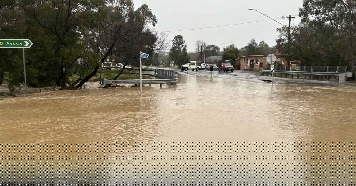 Flood warnings issued for Ballarat, surrounding towns after overnight rain