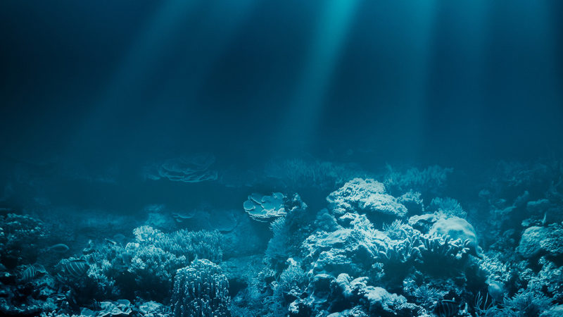 High Seas treaty will deal blow to deep sea mining