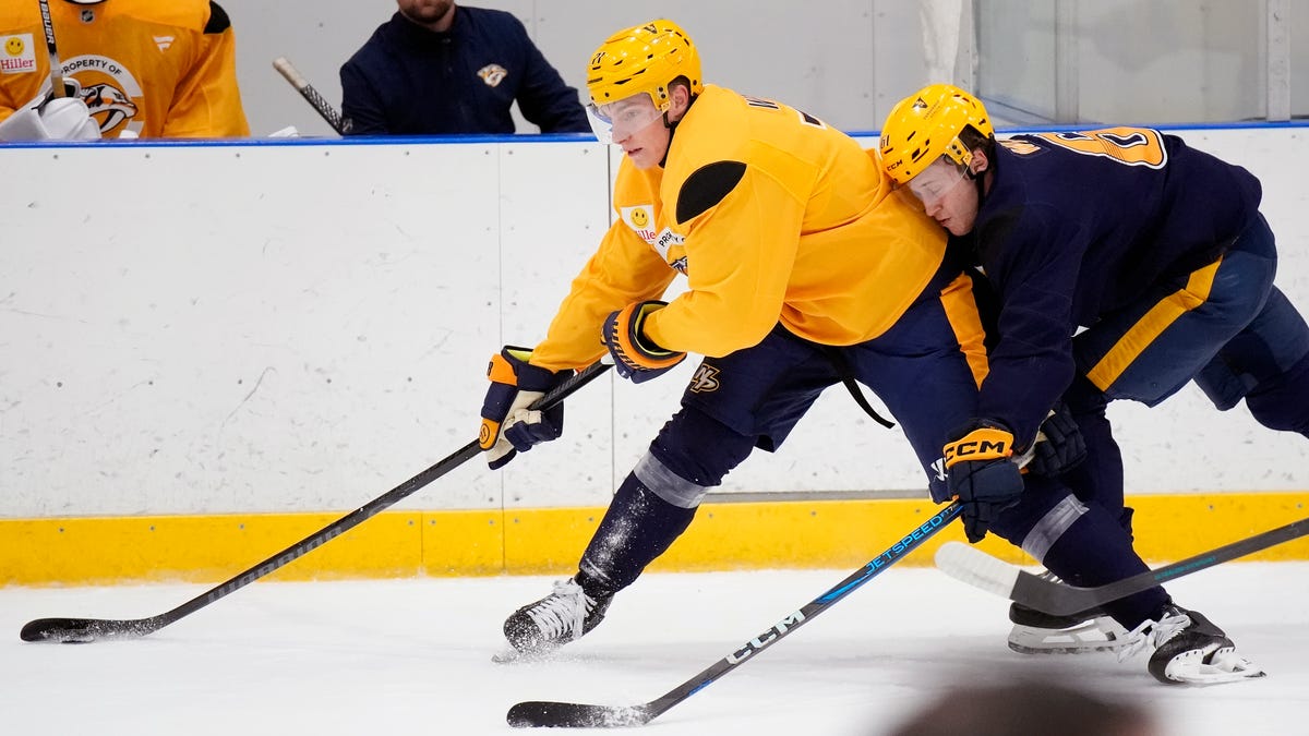 Nashville Predators rookie Matthew Wood out 'week to week' with upper body injury