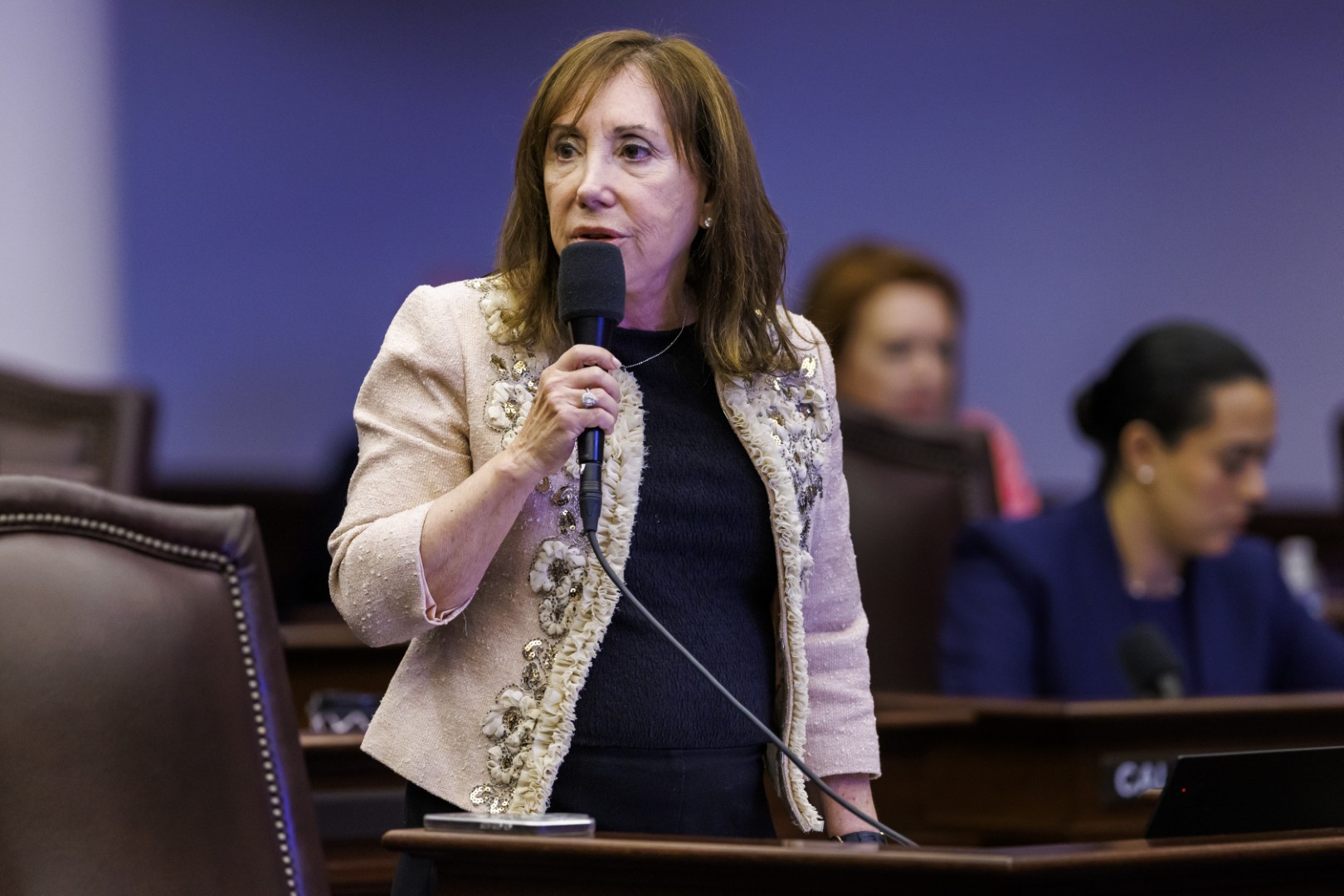 Senate passes ‘HAVEN Act’ to expand state protections for victims of domestic, dating violence